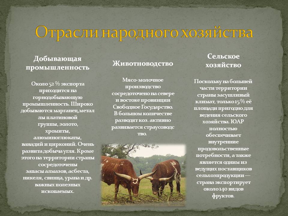 Отрасли народного хозяйства