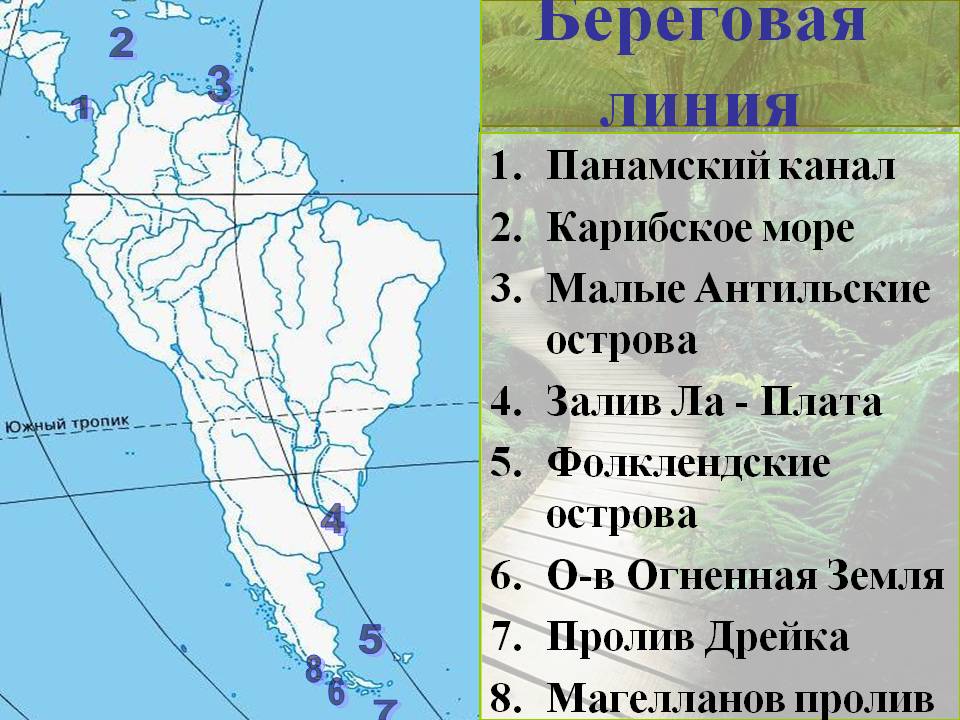 Береговая линия
