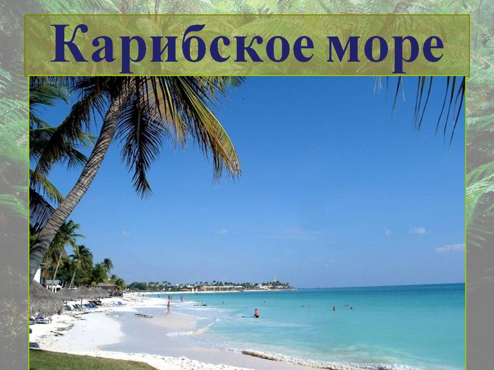 Карибское море