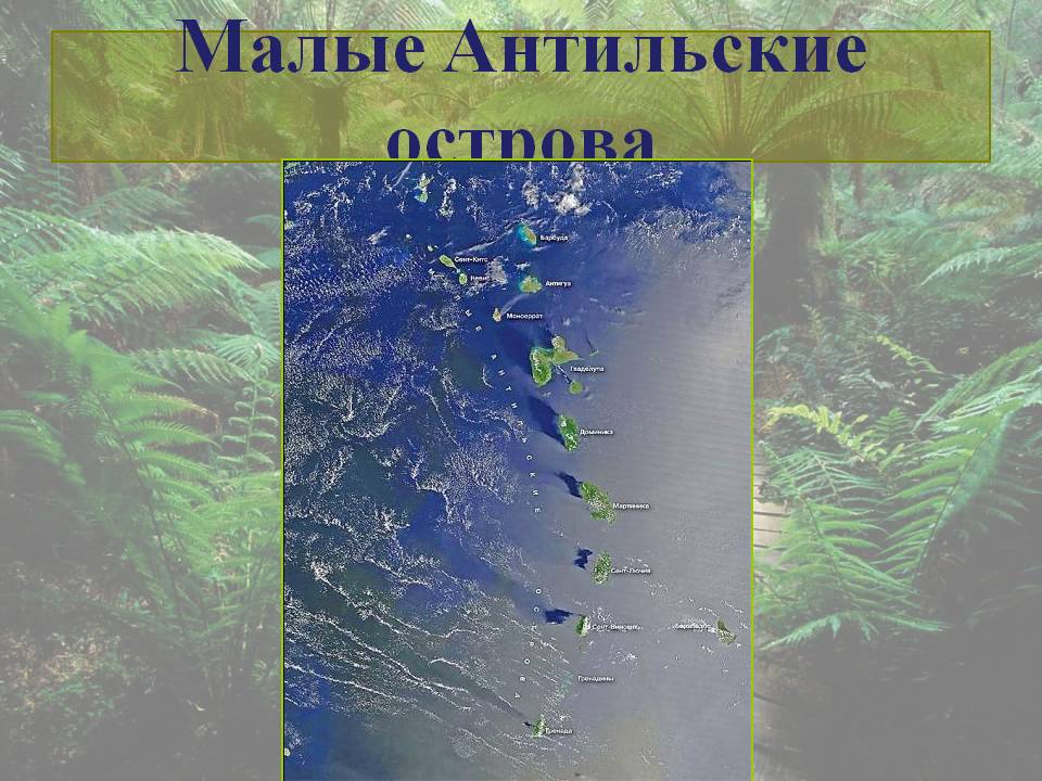 Малые Антильские острова