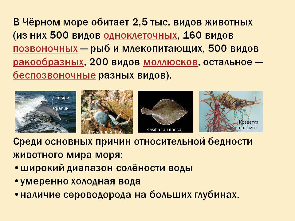 Широкий диапазон солёности воды