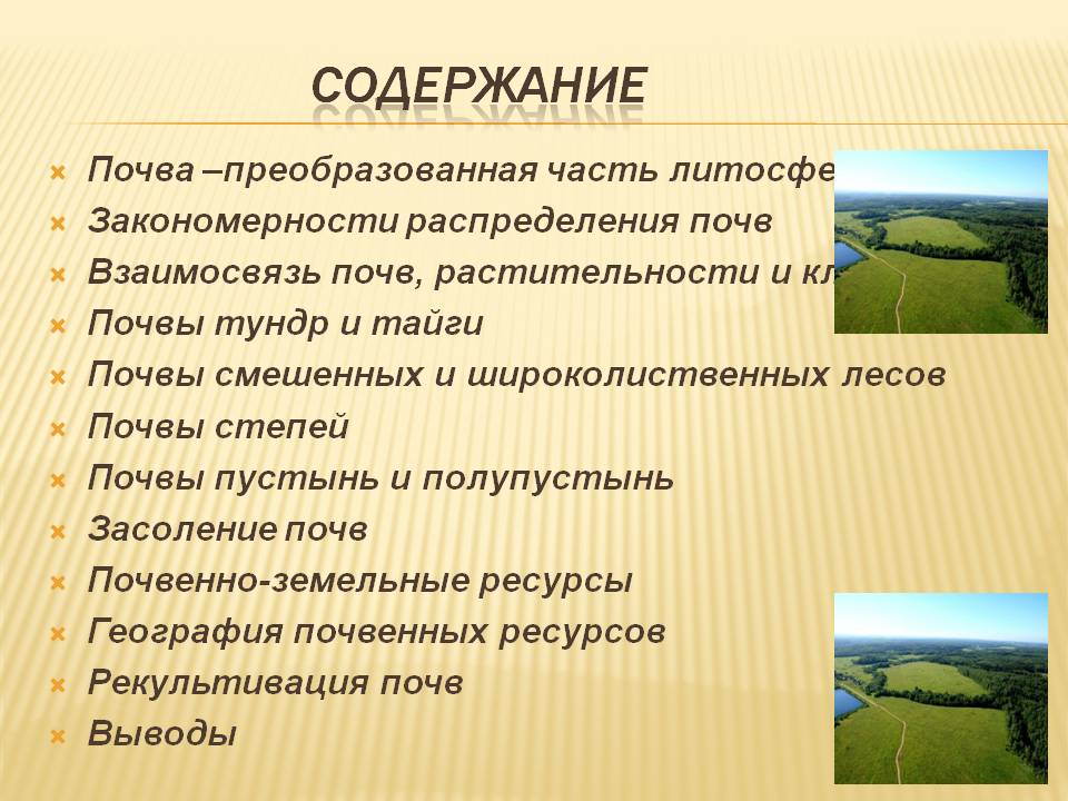 Содержание