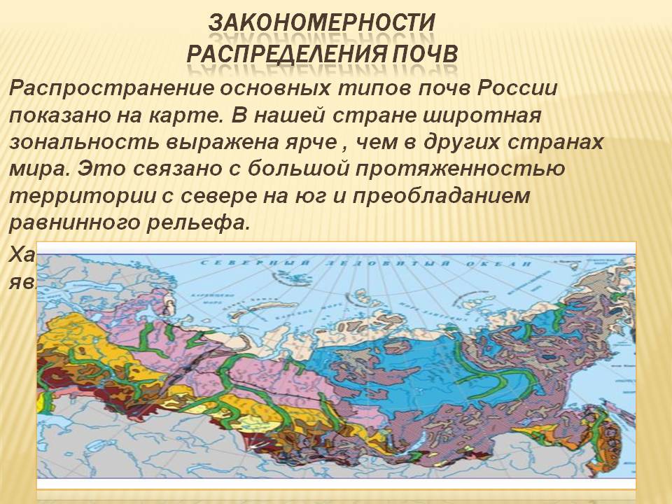 Закономерности распределения почв