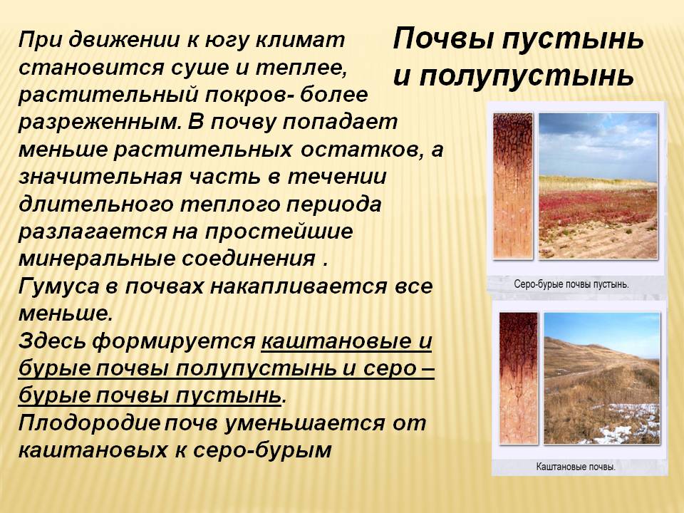 Почвы пустынь и полупустынь
