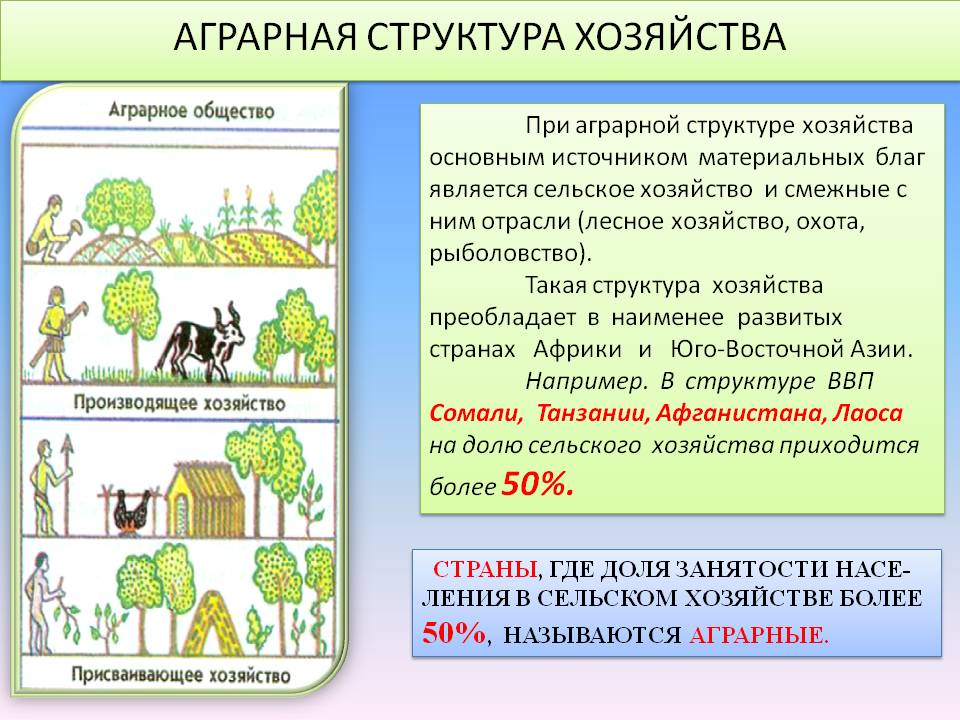 Аграрная структура хозяйства