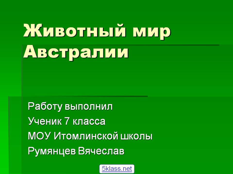 Животный мир Австралии
