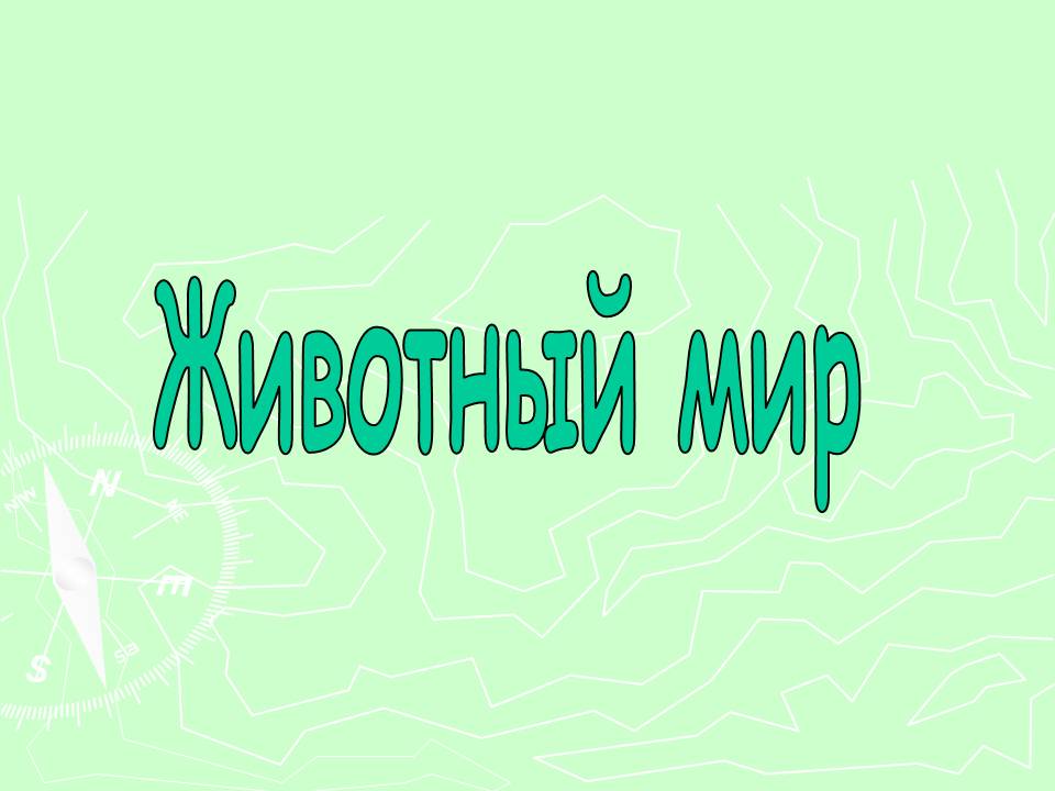 Животный мир