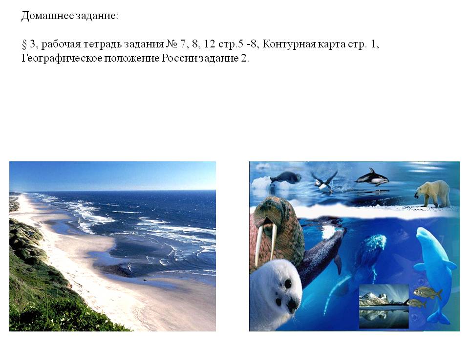 Домашнее задание