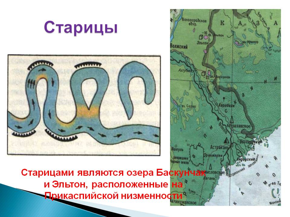 Старицы