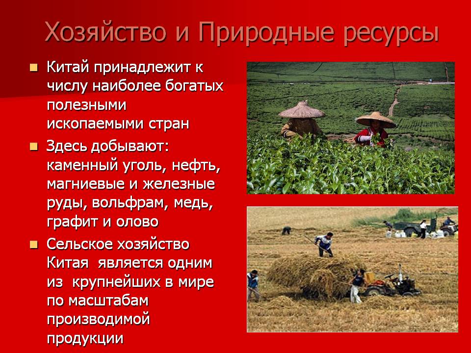 Хозяйство и природные ресурсы