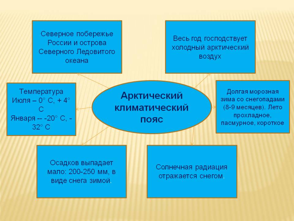 Арктический климатический пояс