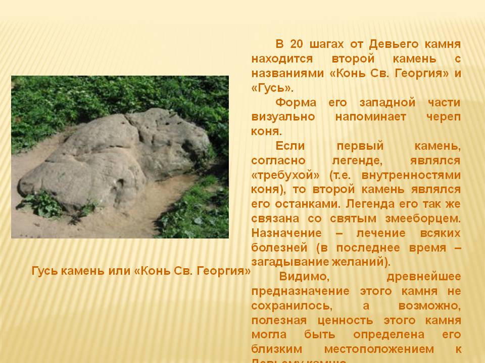 Гусь