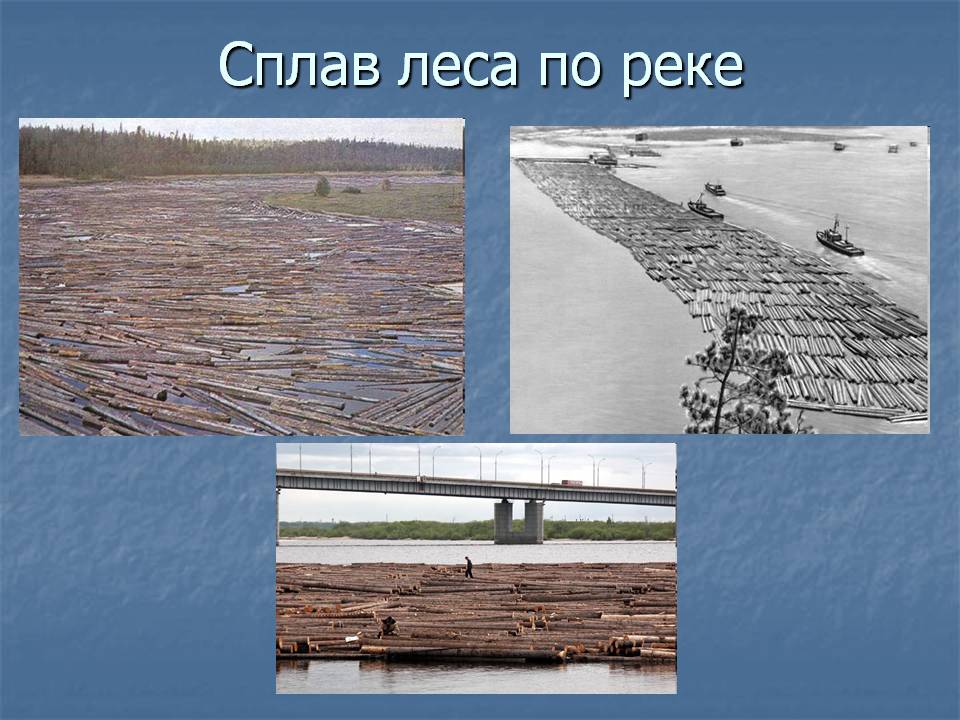 Сплав леса по реке