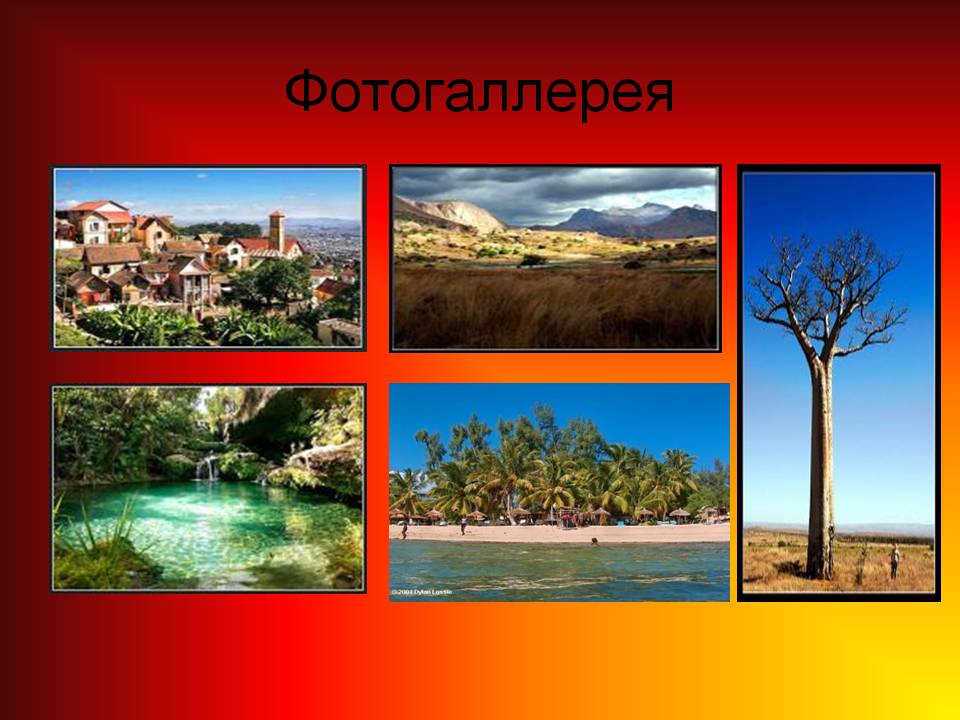 Фотогаллерея