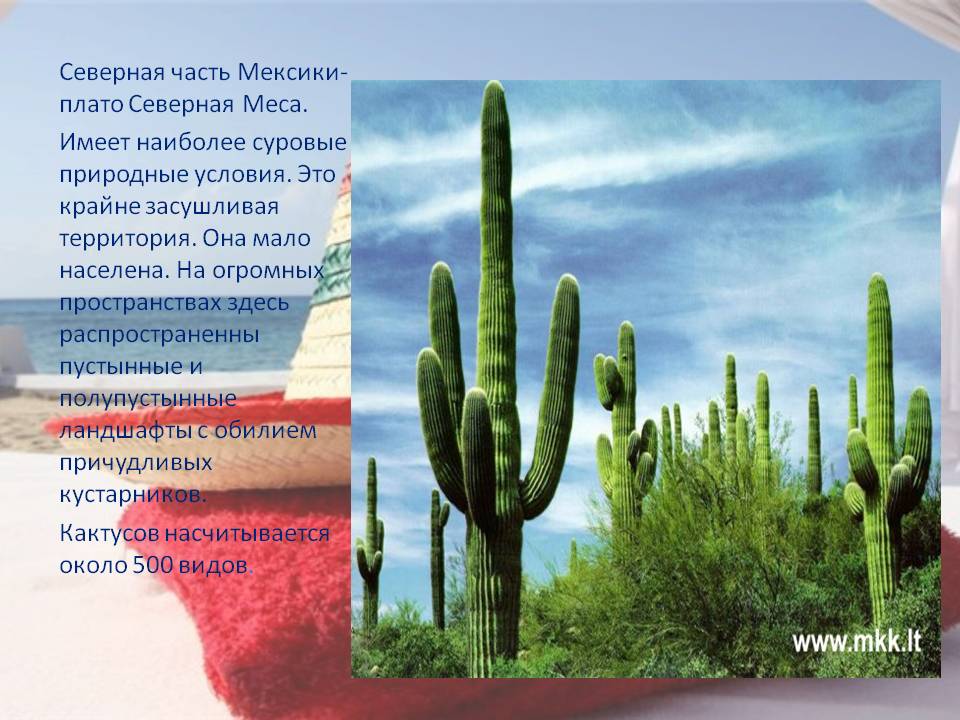 Северная часть Мексики
