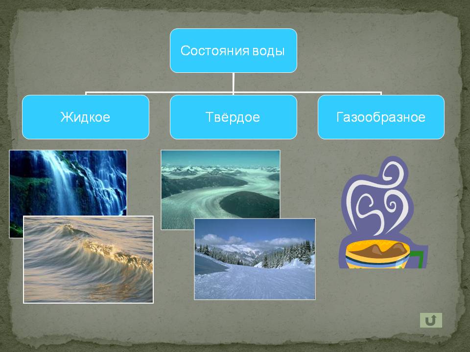 Мировой океан 6 класс