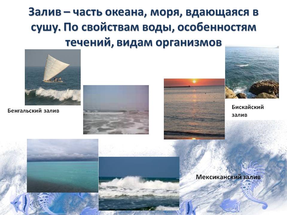 Залив – часть океана, моря, вдающаяся в сушу