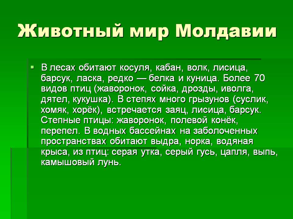 Животный мир Молдавии
