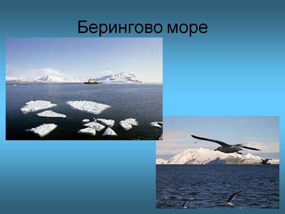 Берингово море