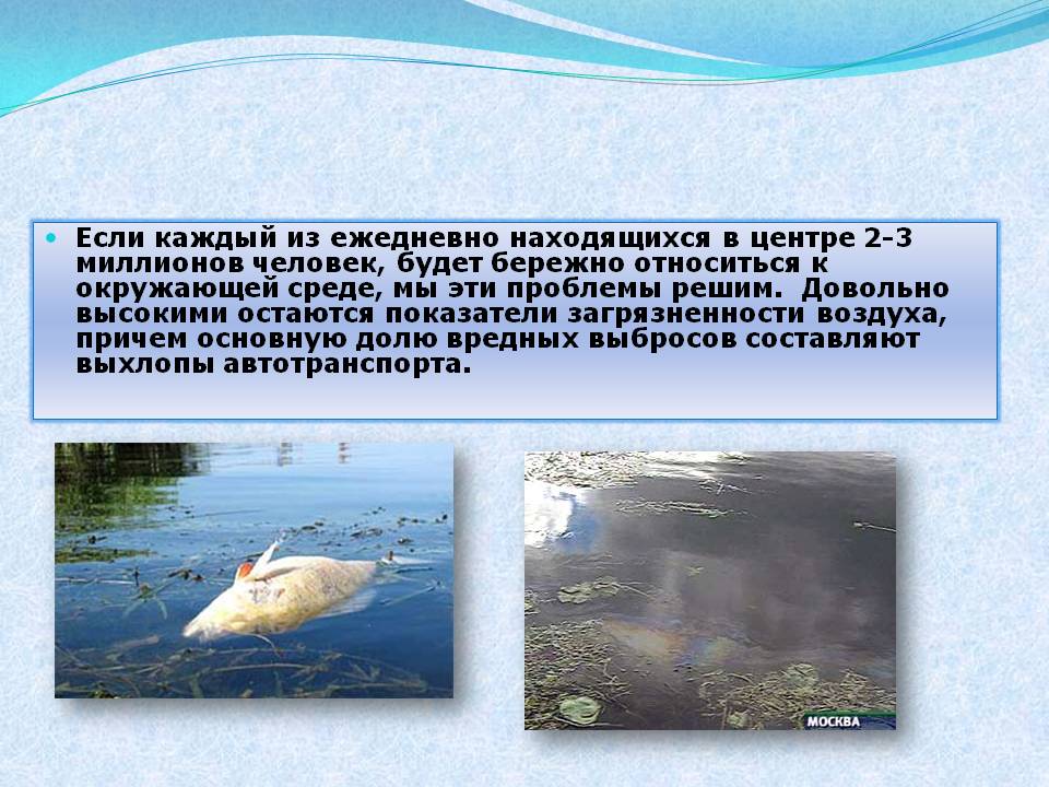 Бережно относиться к окружающей среде