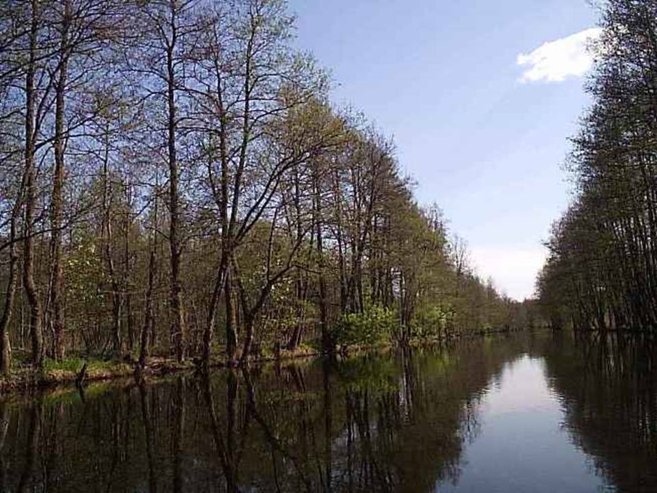 Муромский район