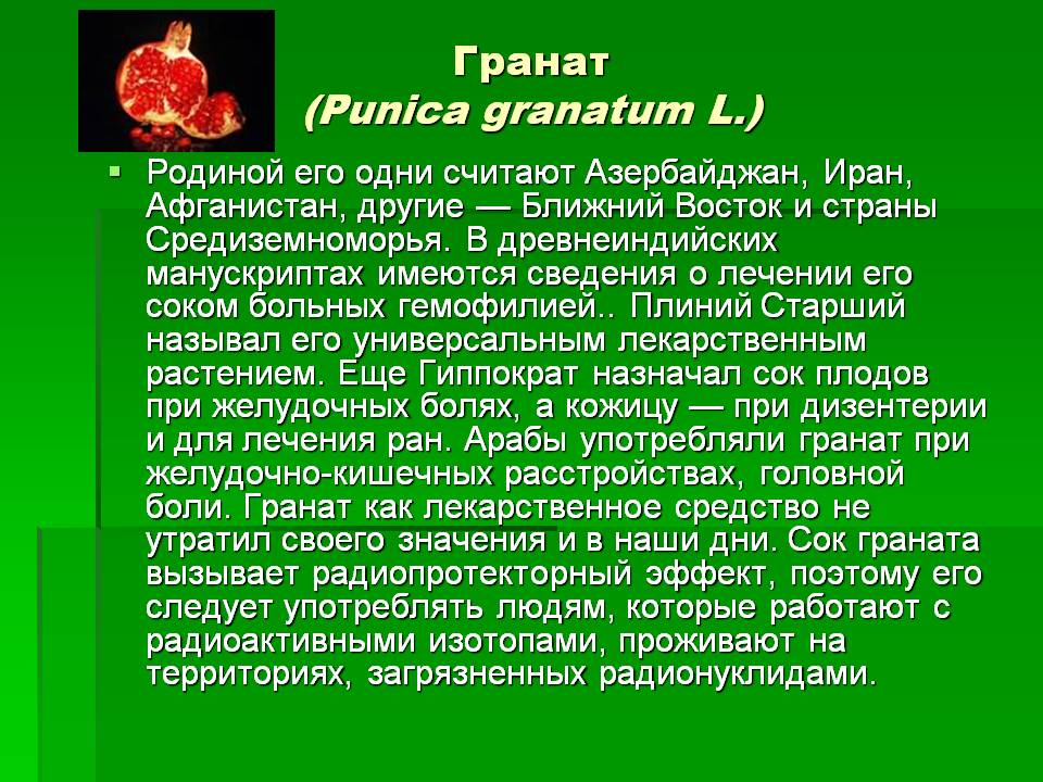 Гранат 