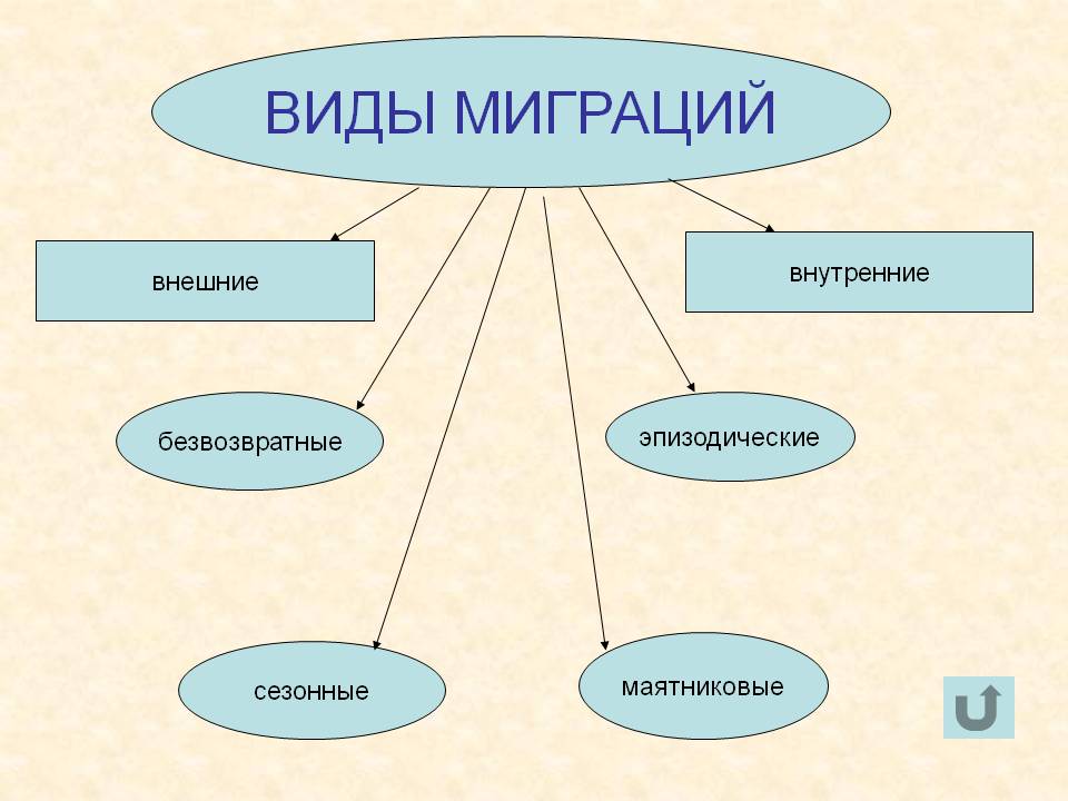 Виды миграций