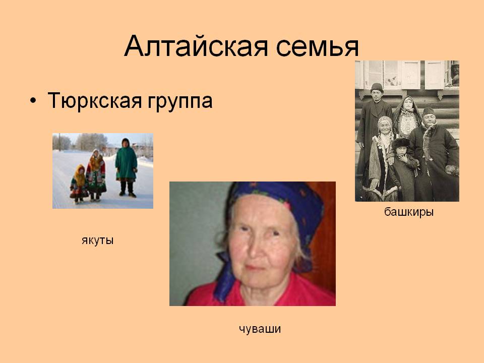 Алтайская семья