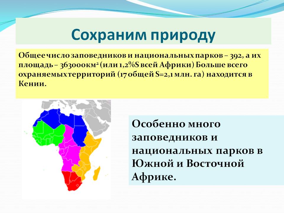 Сохраним природу