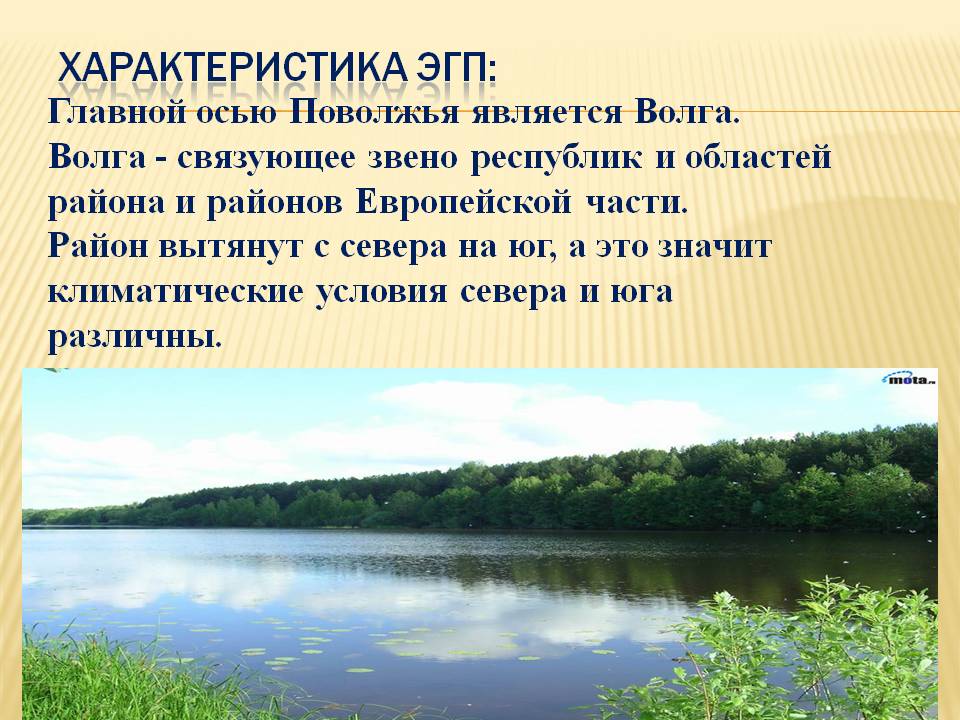 Характеристика ЭГП:
