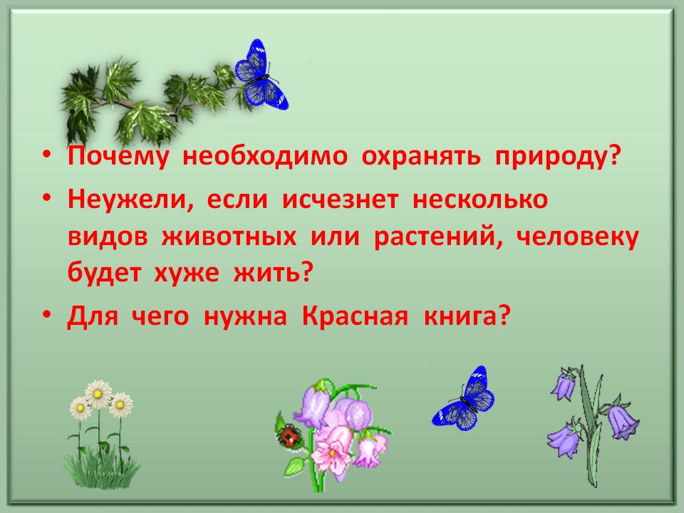 Несколько видов