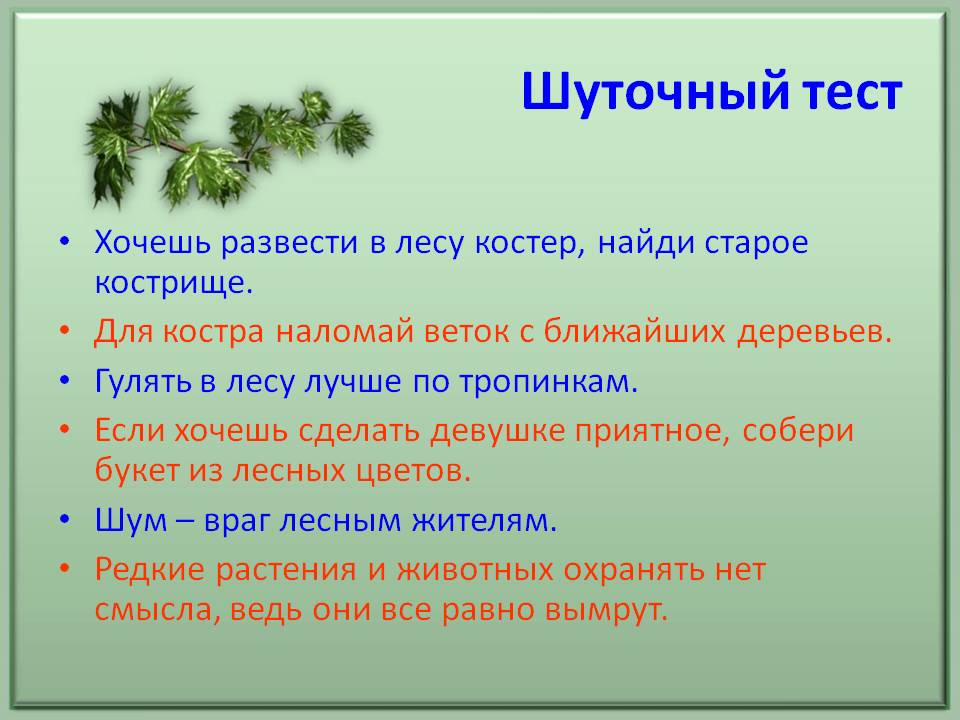 Кострище