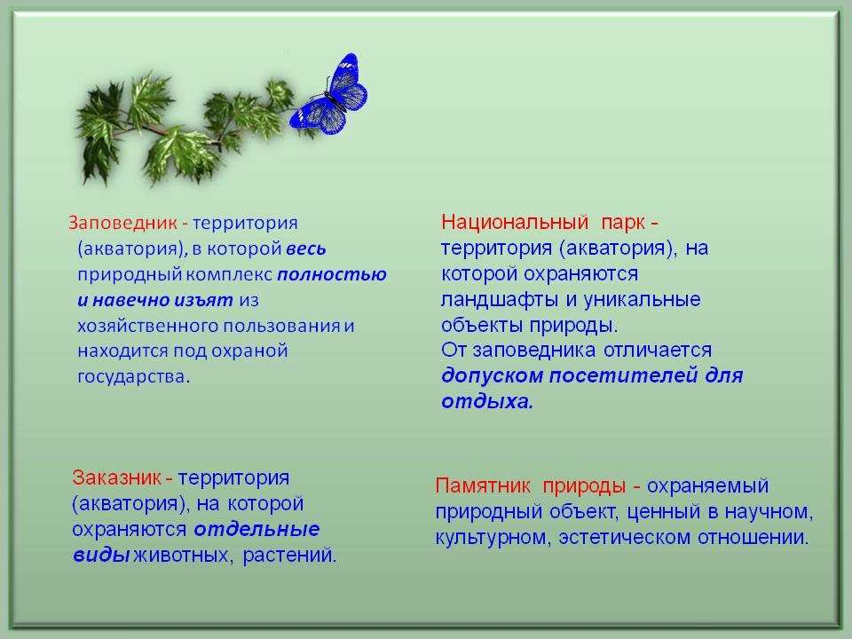 Национальный парк