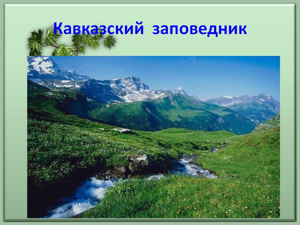 Кавказский заповедник