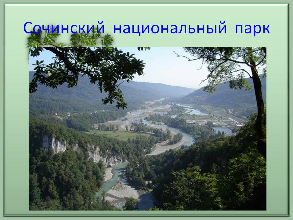 Сочинский национальный парк