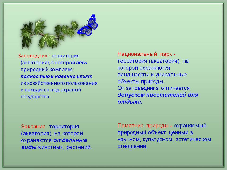 Акватория