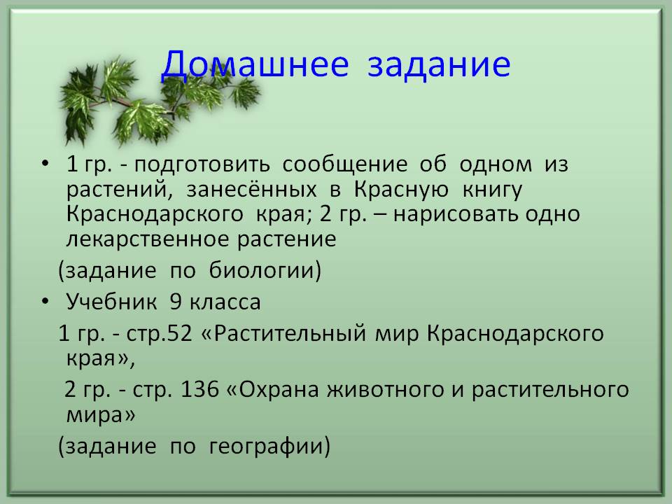 Домашнее задание