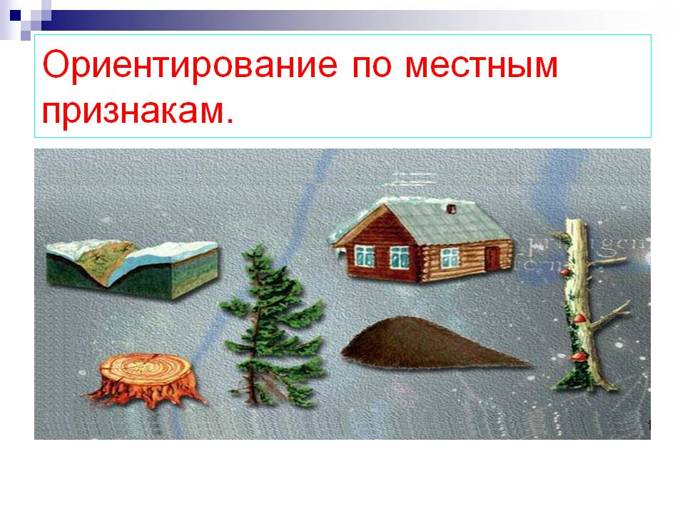 Ориентирование по местным признакам