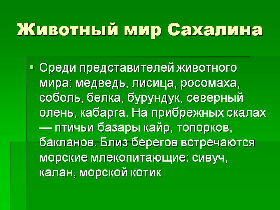 Животный мир Сахалина