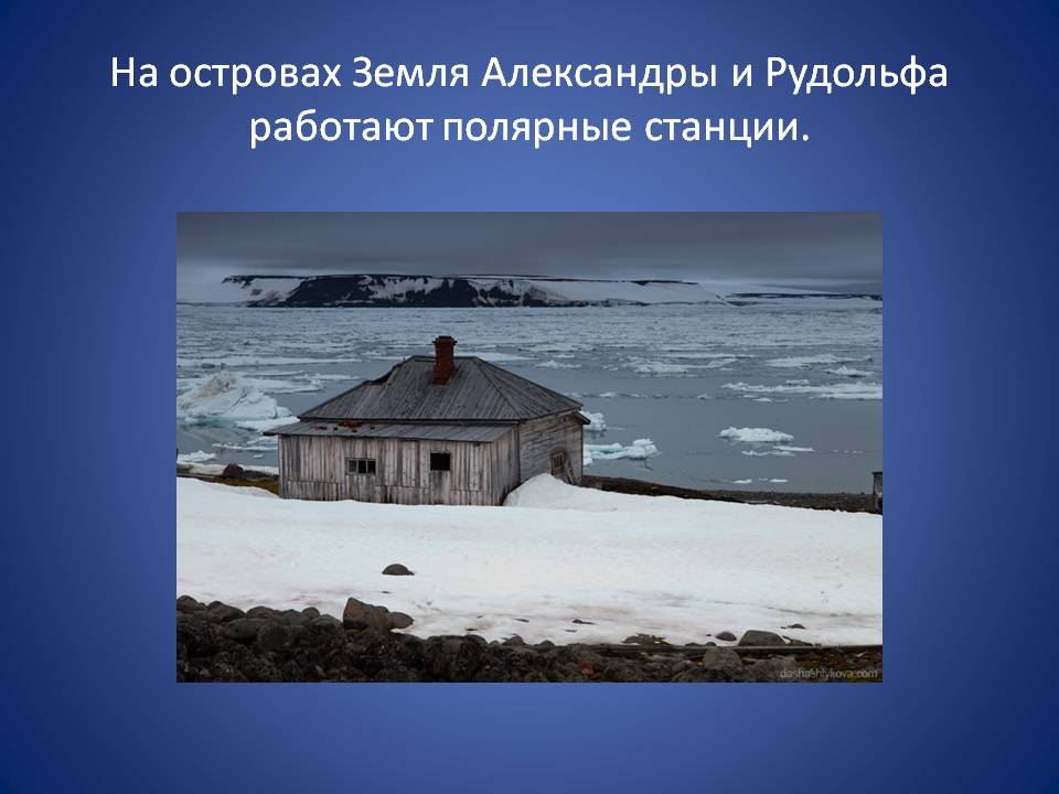На островах Земля Александры и Рудольфа работают полярные станции