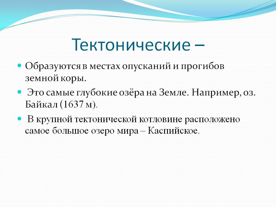 Образуются в местах опусканий и прогибов земной коры