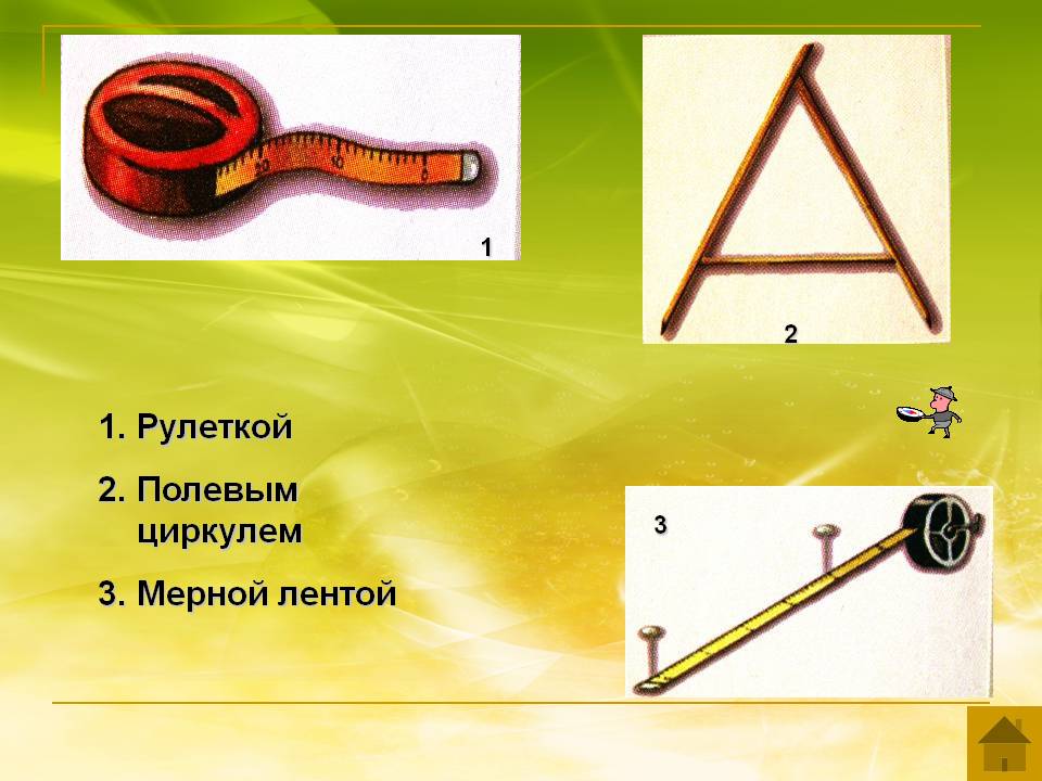Рулеткой Полевым циркулем Мерной лентой