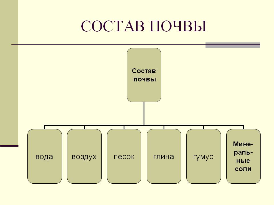 Состав почвы