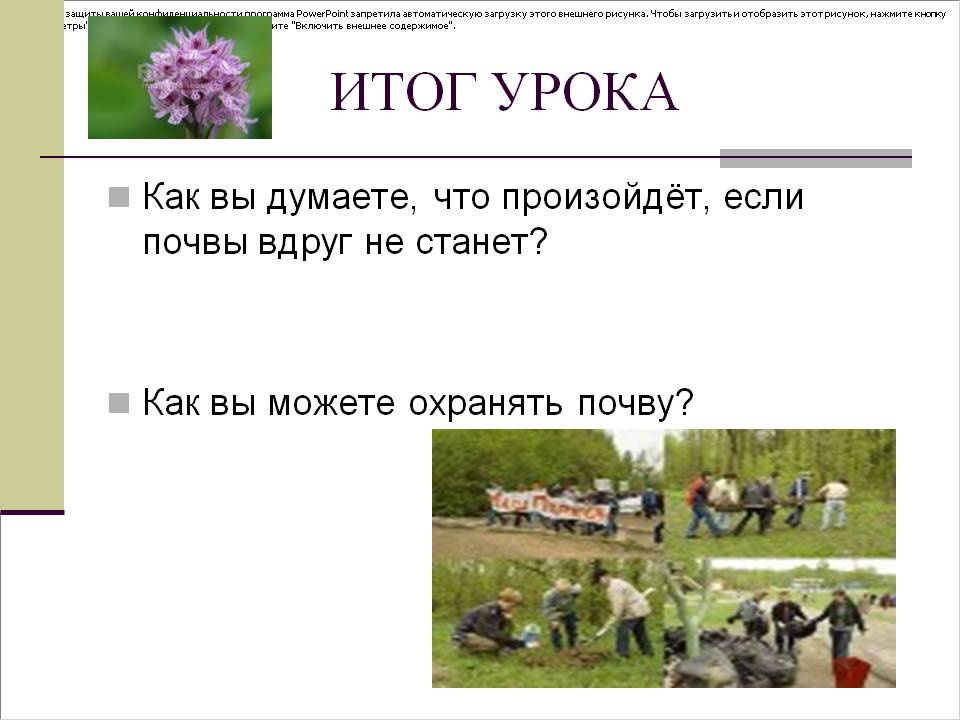 Как вы можете охранять почву