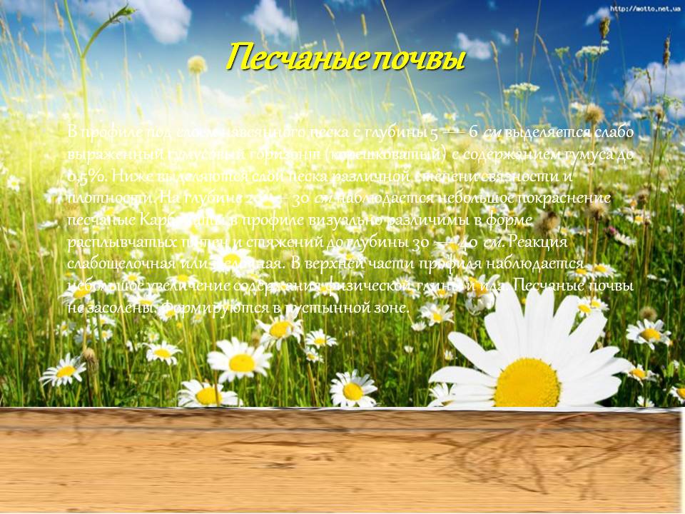 Песчаные почвы