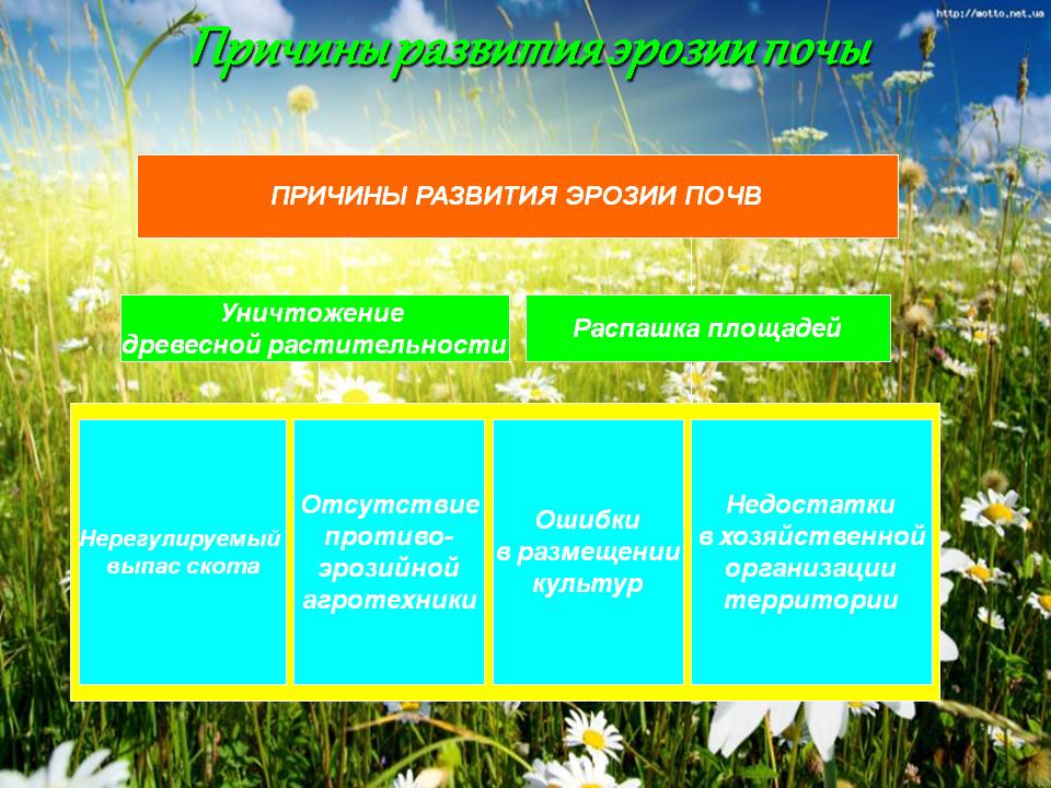 Причины развития эрозии почы
