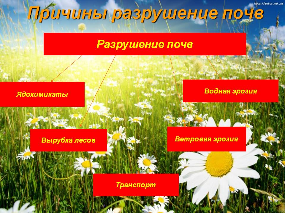 Причины разрушение почв
