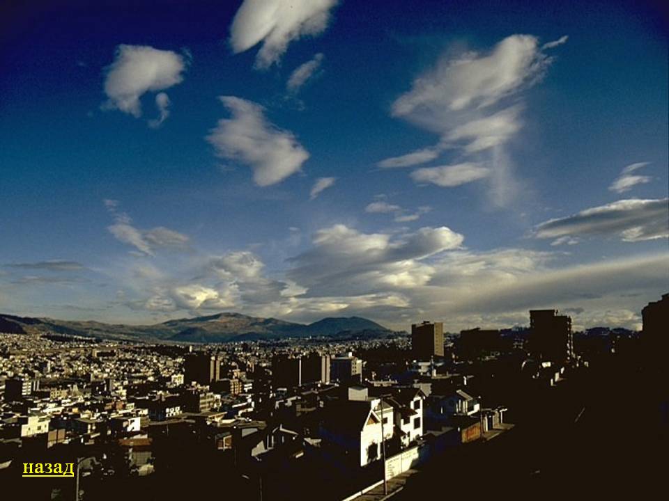 Назад