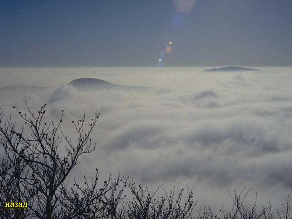 Назад