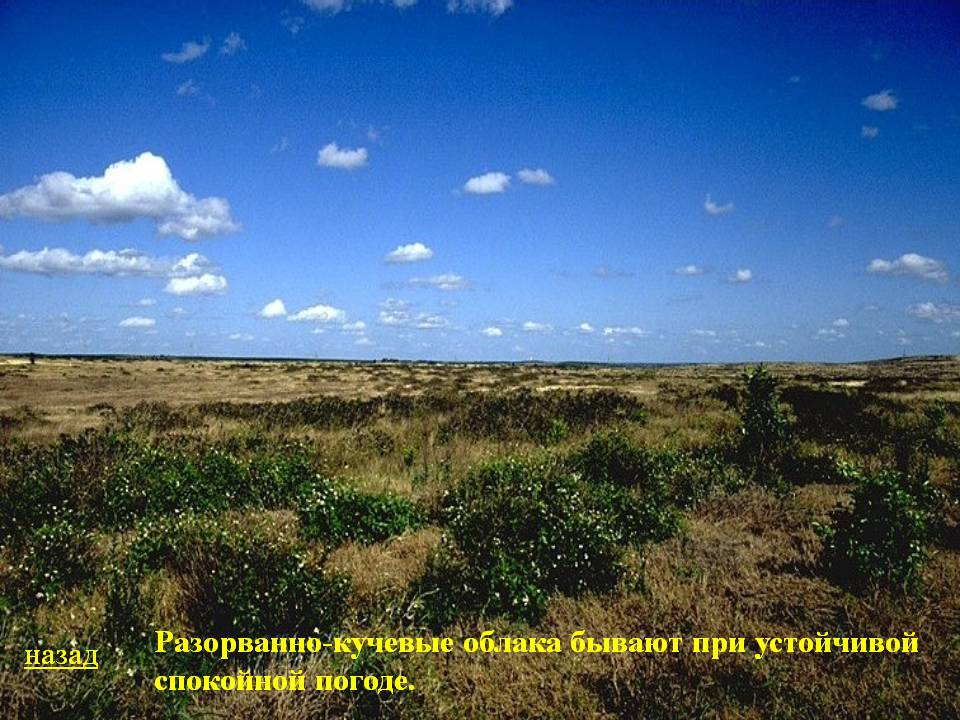 Разорванно-кучевые облака бывают при устойчивой спокойной погоде